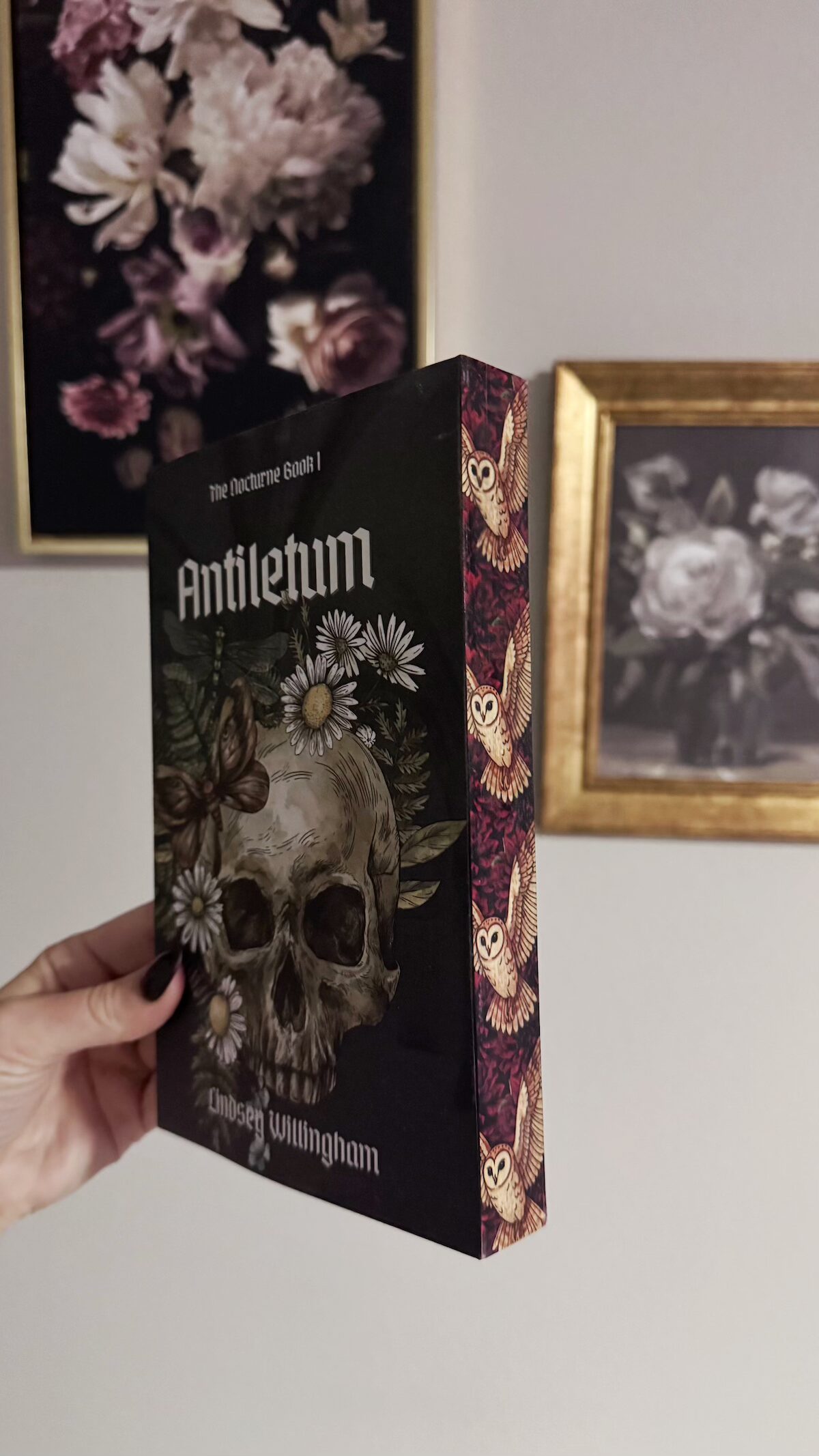 A hand signed standard edition paper back copy of Antiletum by Lindsey Willingham with sublimated edges.